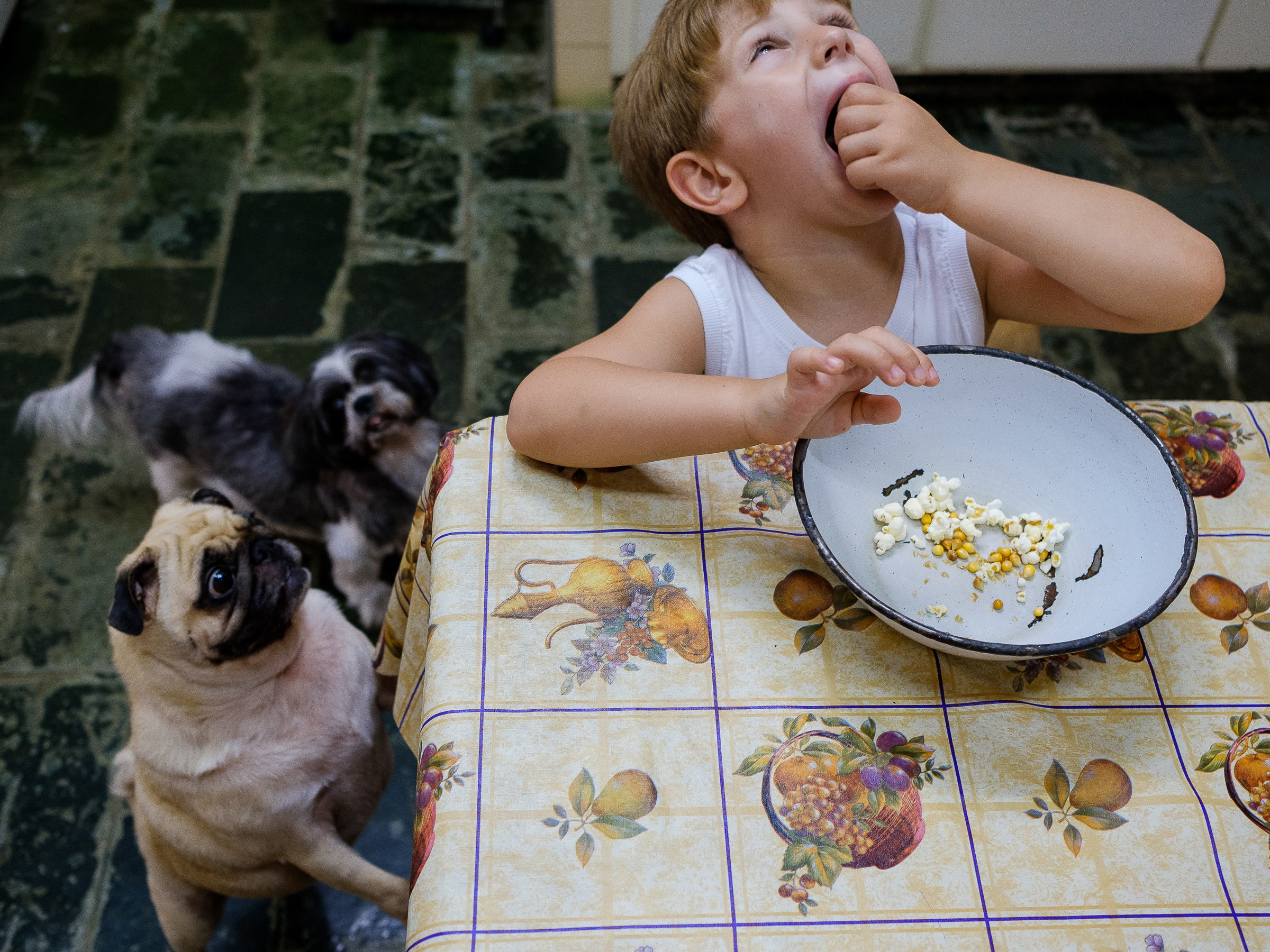 Foto de Marcos Paulo 6